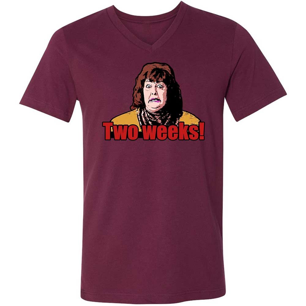 Unisex V-Neck T-Shirt - H9M9T2TE - Maroon - 14