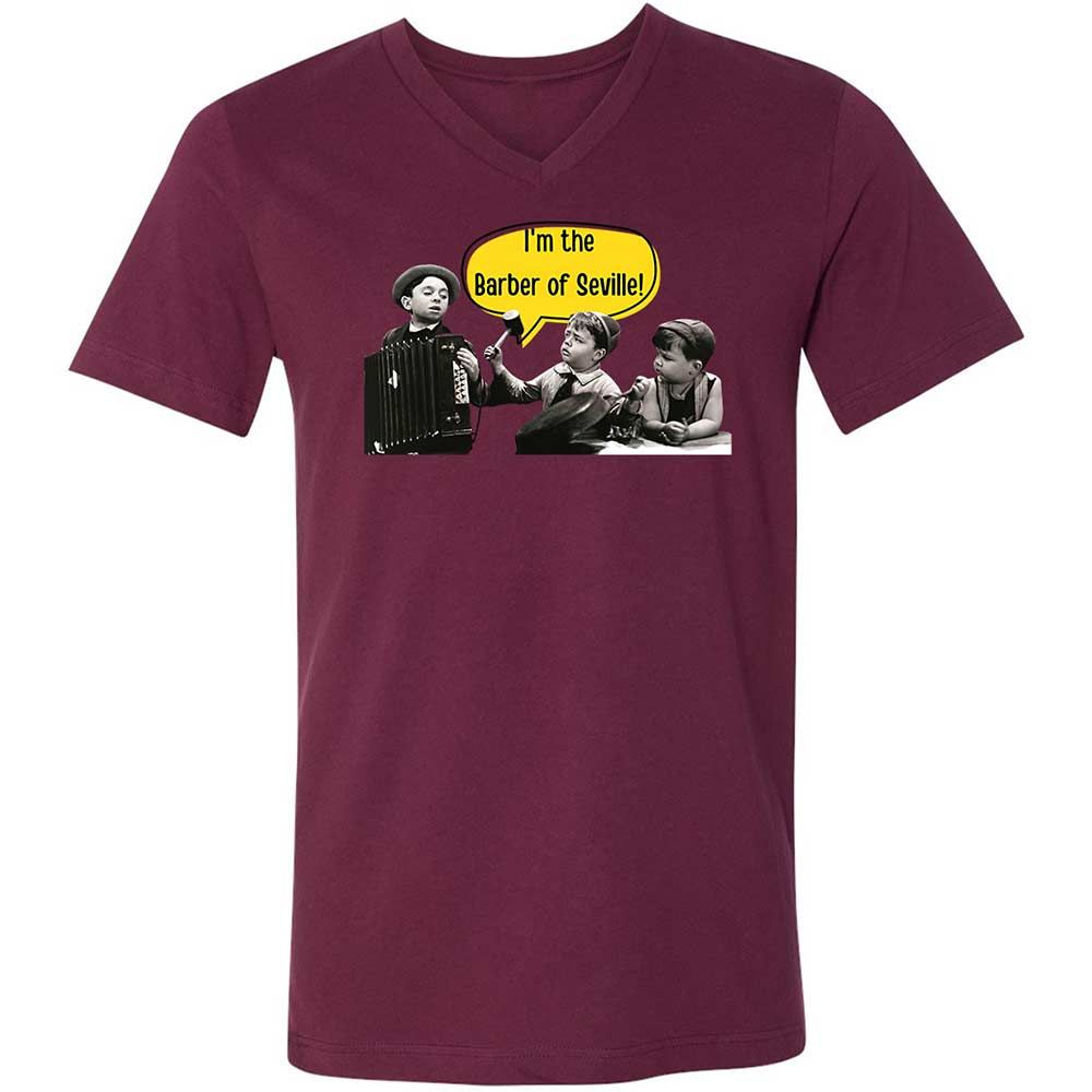 Unisex V-Neck T-Shirt - ANQYQH8G - Maroon - 14