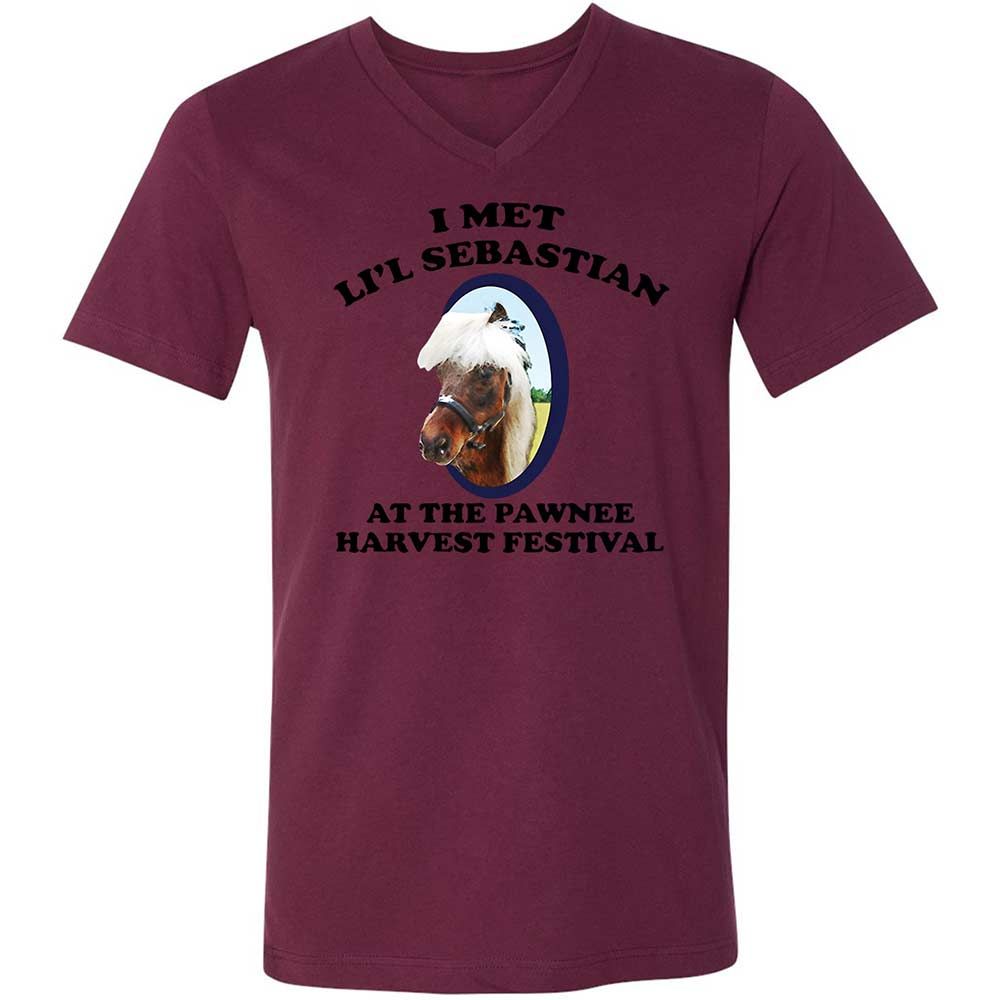 Unisex V-Neck T-Shirt - 8Z1V2HKT - Maroon - 14