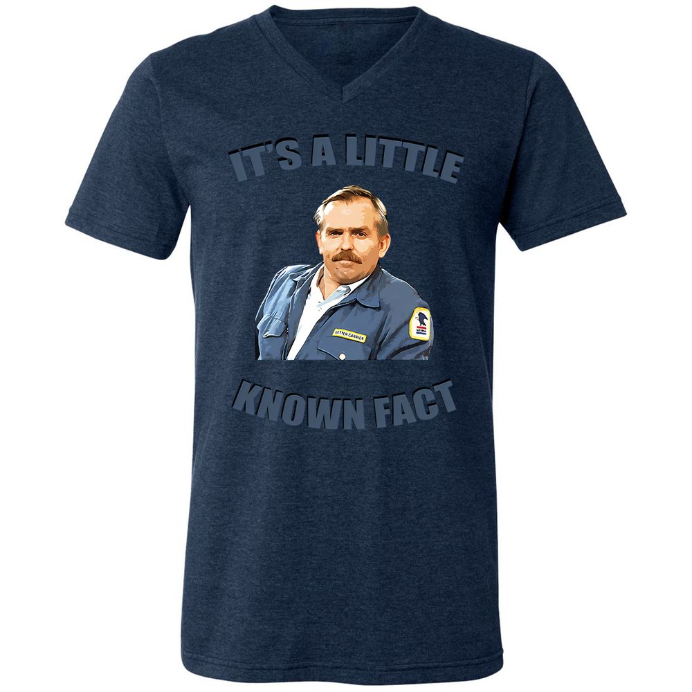 Unisex V-Neck T-Shirt - Y4Q4STCB - Heather Navy - 15
