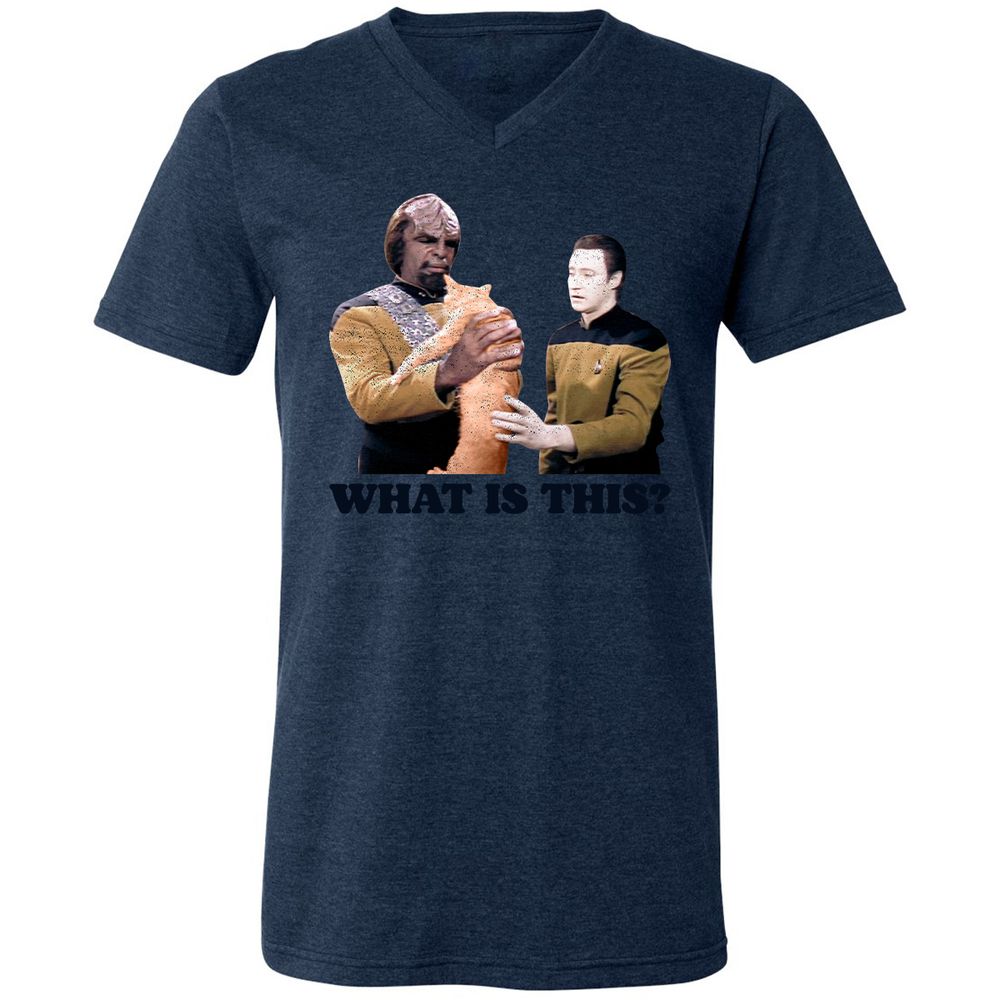 Unisex V-Neck T-Shirt - YKNF1RGE - Heather Navy - 15