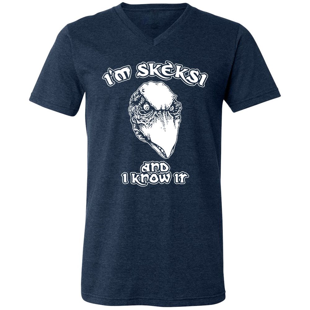 Unisex V-Neck T-Shirt - AGCXZ1HQ - Heather Navy - 15