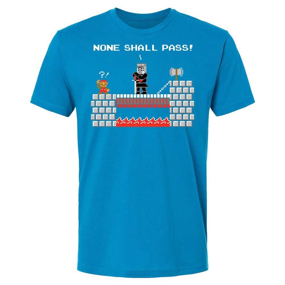 No Plumbers Shall Pass - Turquoise - 15