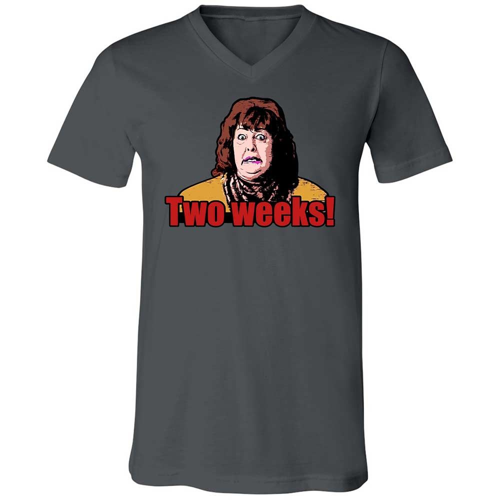 Unisex V-Neck T-Shirt - H9M9T2TE - Asphalt - 16