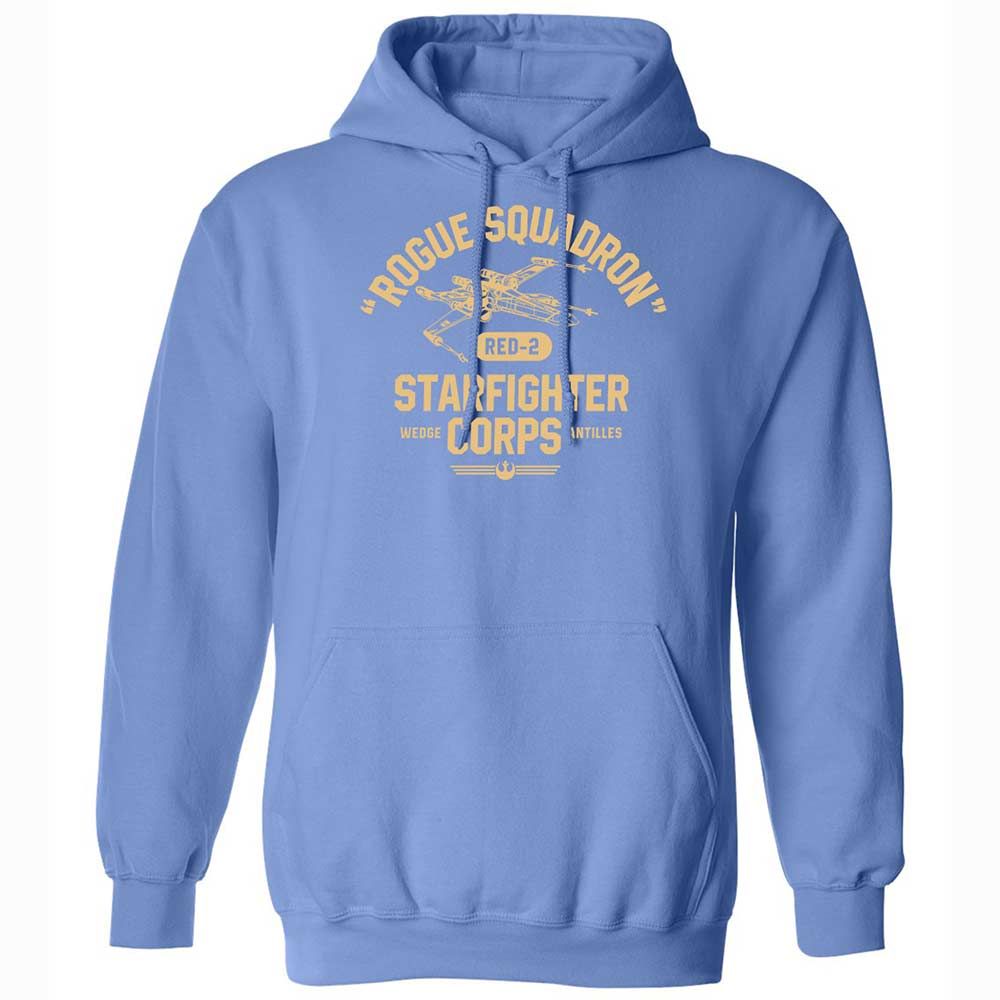 Classic Unisex Hoodie - CLQPKBDG - Carolina Blue - 16
