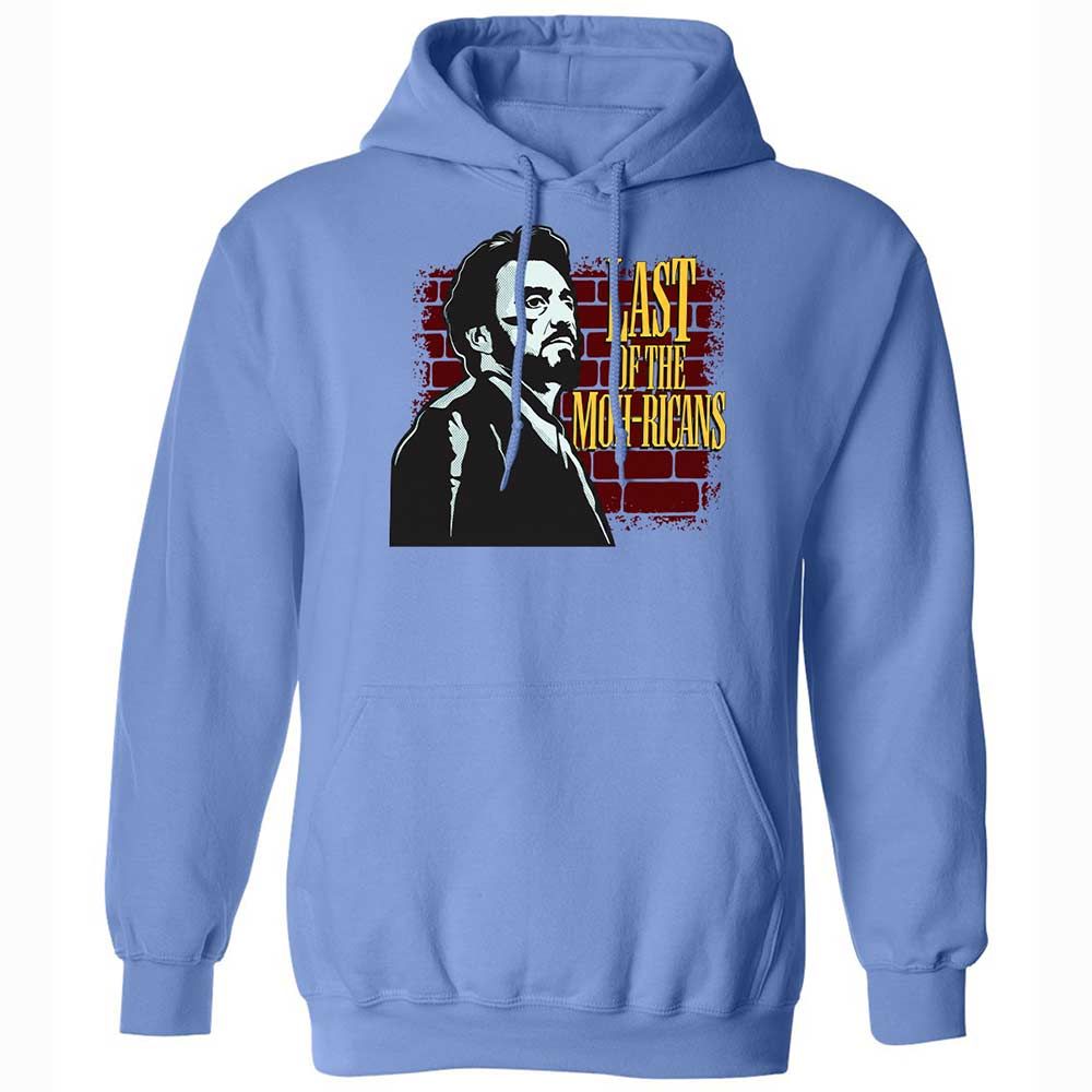 Classic Unisex Hoodie - WAPLKTSM - Carolina Blue - 16