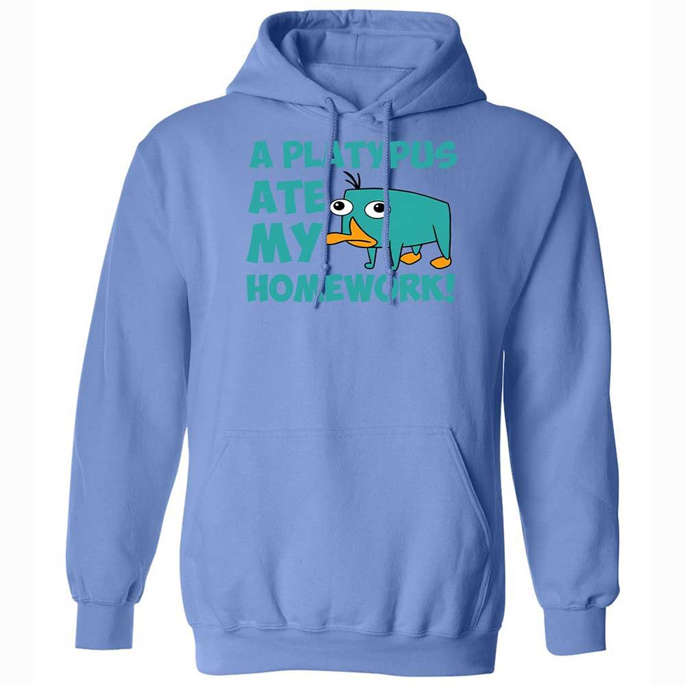 Classic Unisex Hoodie - 6LCQ1Y8Y - Carolina Blue - 16