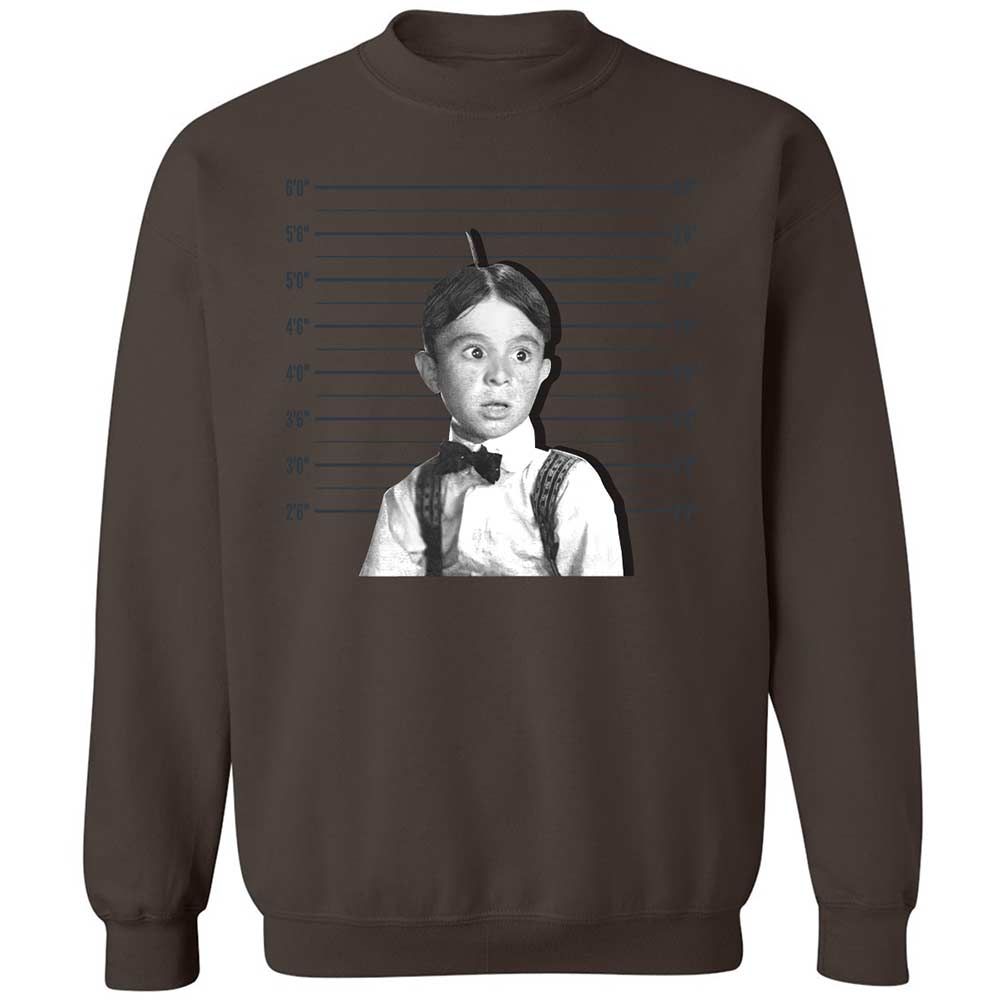 Classic Unisex Sweatshirt - LWSWMXE6 - Dark Chocolate - 16