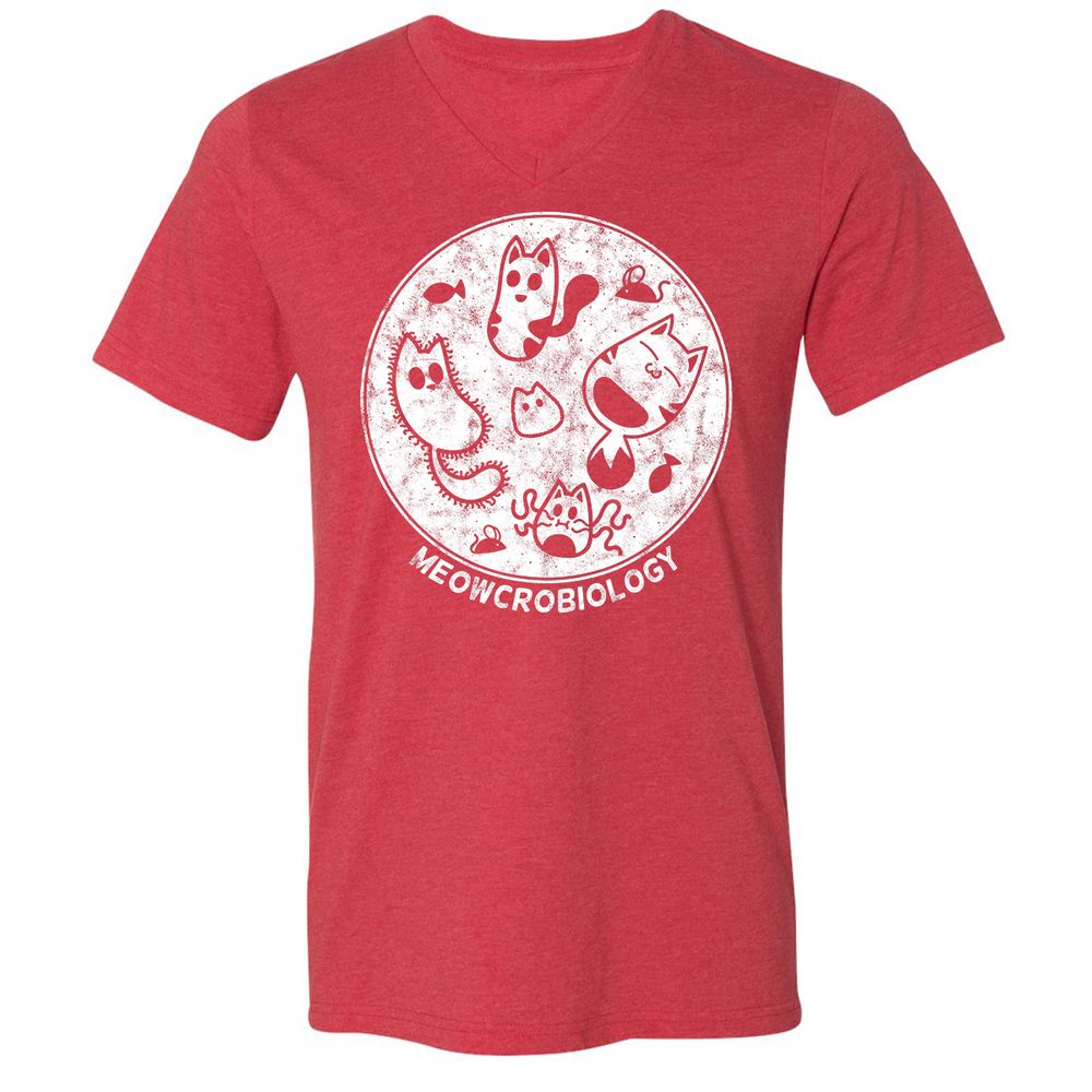 Unisex V-Neck T-Shirt - AYS5CEQH - Heather Red - 16