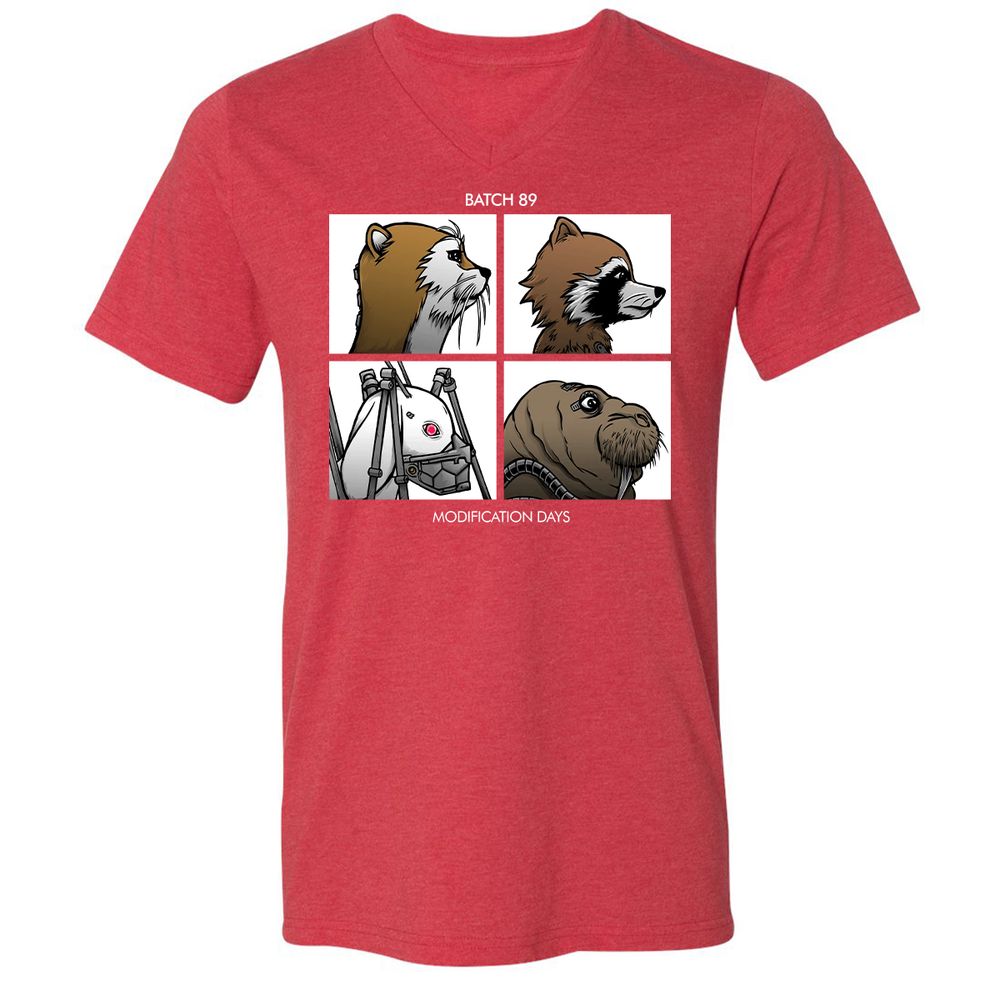 Unisex V-Neck T-Shirt - Z35HQ3ZJ - Heather Red - 16