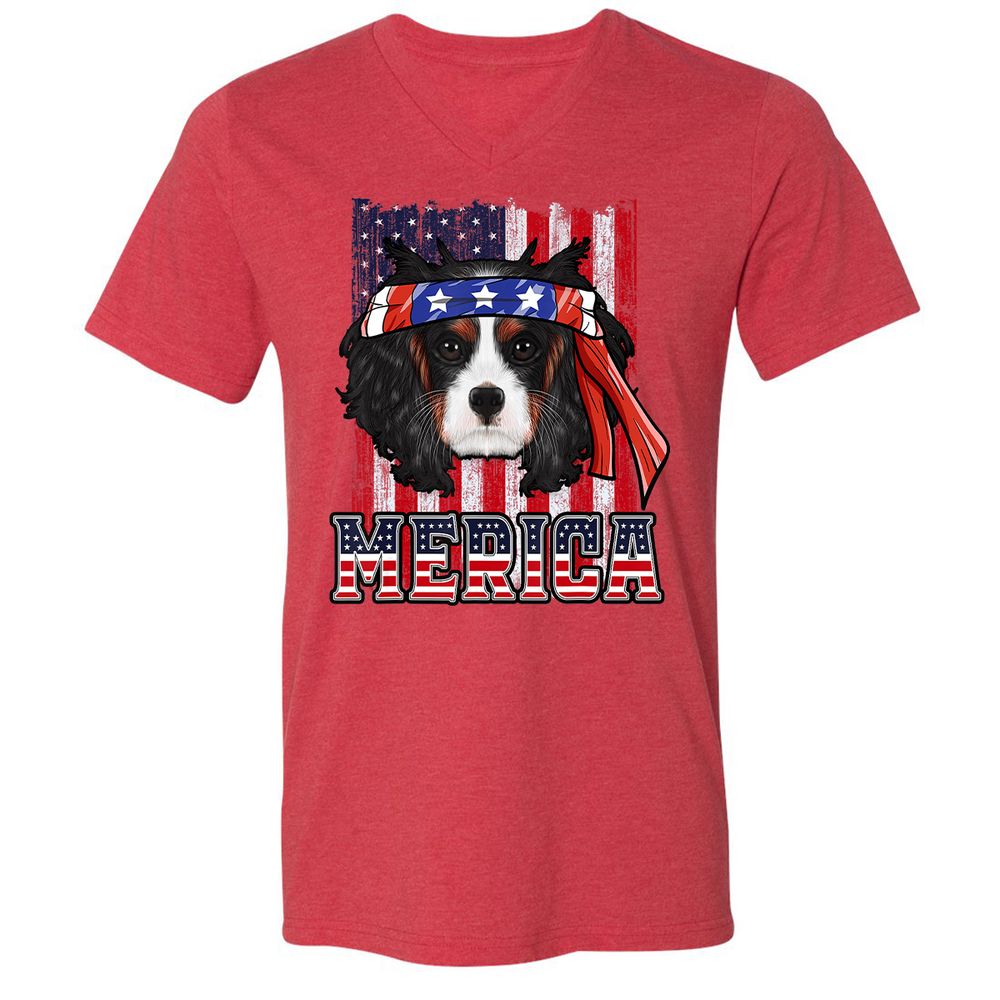 Unisex V-Neck T-Shirt - PRX98J7N - Heather Red - 16