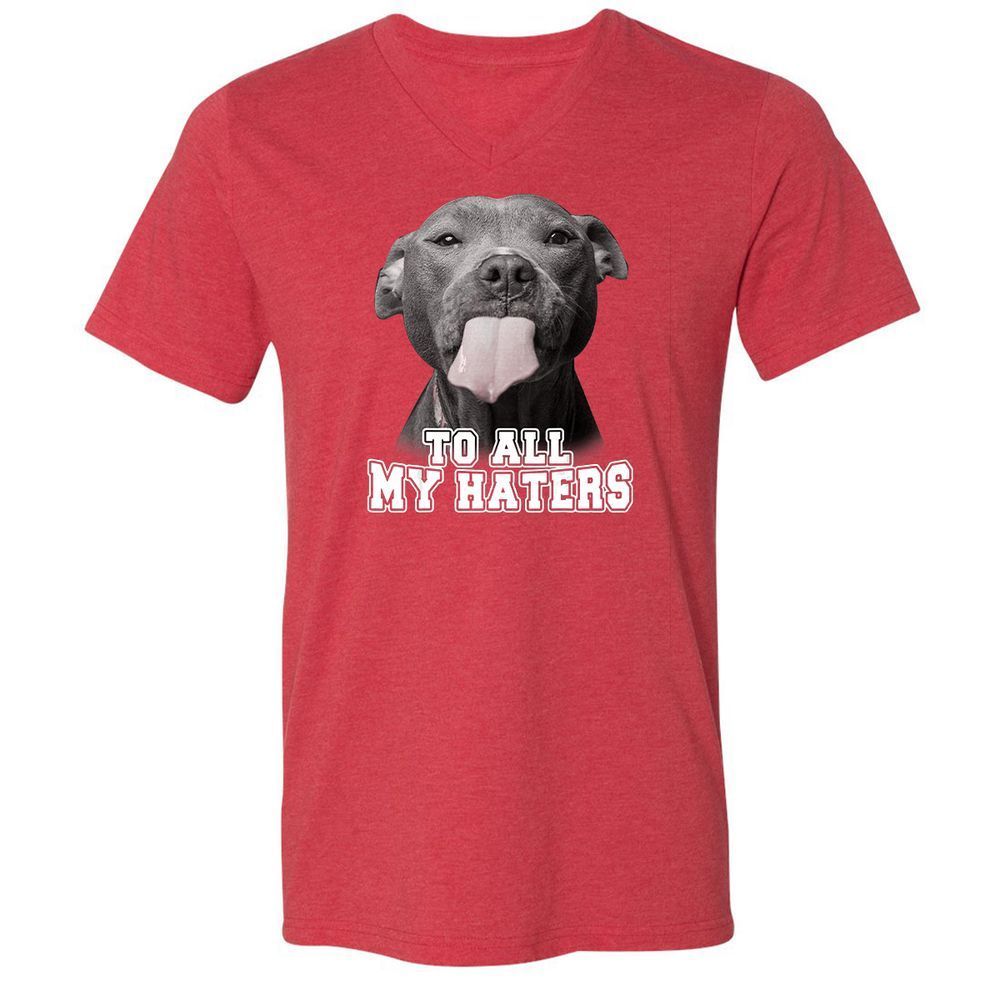 Unisex V-Neck T-Shirt - 3Z36GRAF - Heather Red - 16