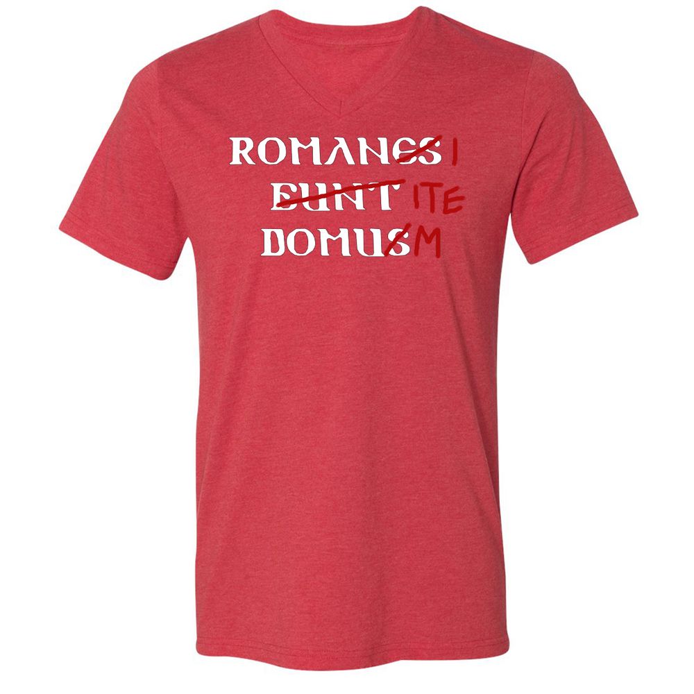 Unisex V-Neck T-Shirt - VDG69XFS - Heather Red - 16