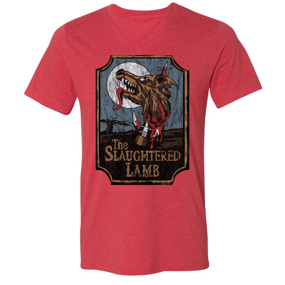 Unisex V-Neck T-Shirt - DLWPCGS2 - Heather Red - 16