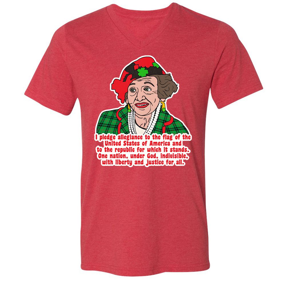 Unisex V-Neck T-Shirt - 1UBJXAMS - Heather Red - 16