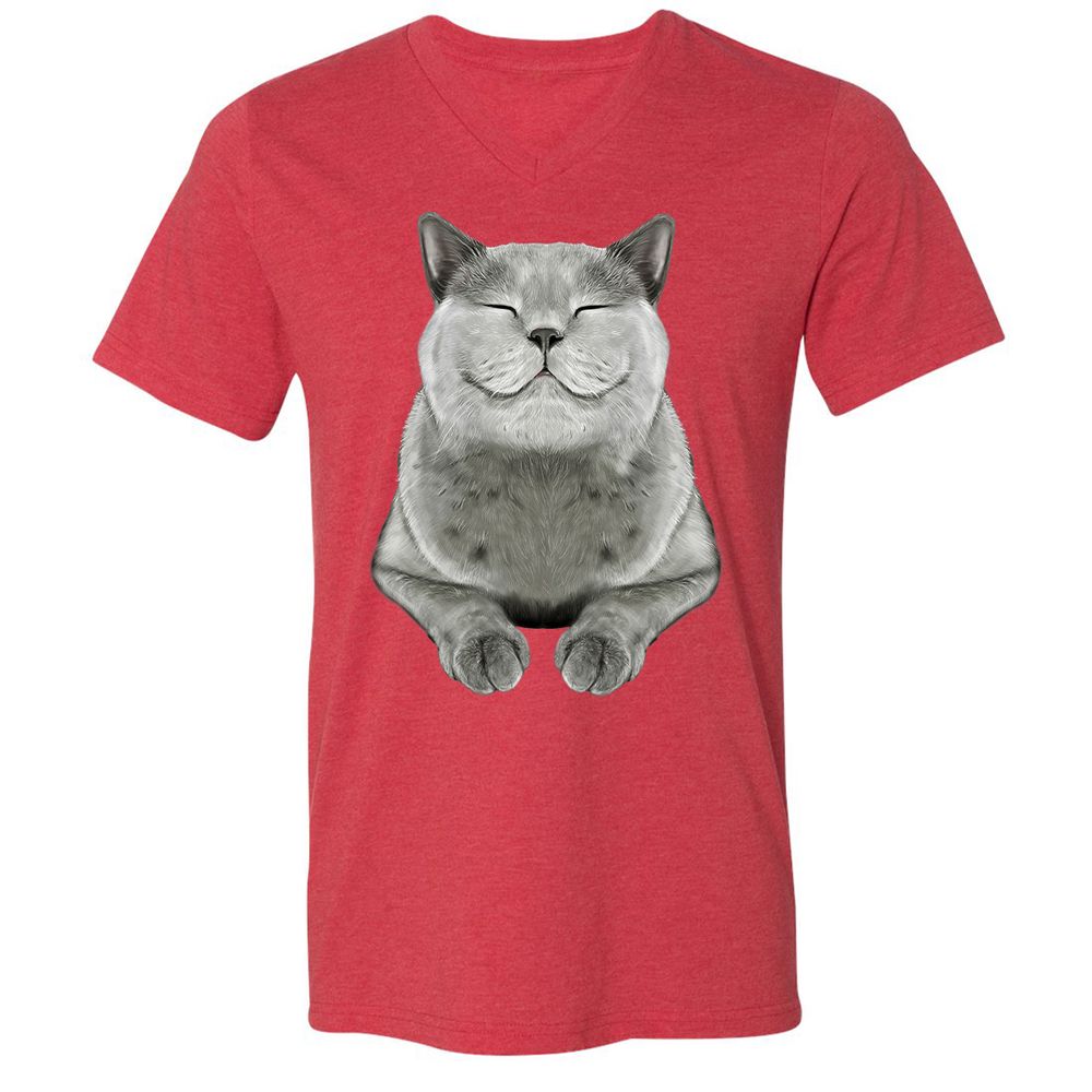 Unisex V-Neck T-Shirt - DRVCAR69 - Heather Red - 16