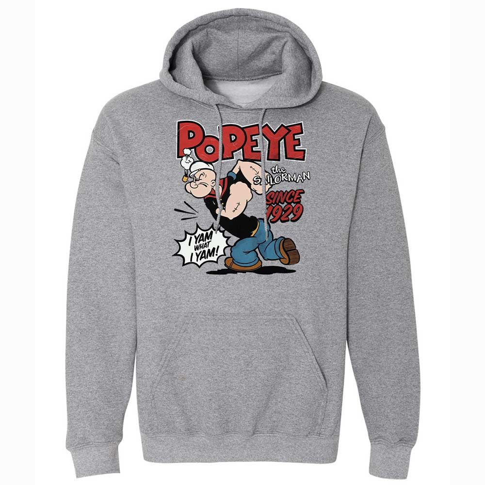 Classic Unisex Hoodie - ESA9ZN98 - Graphite Heather - 17