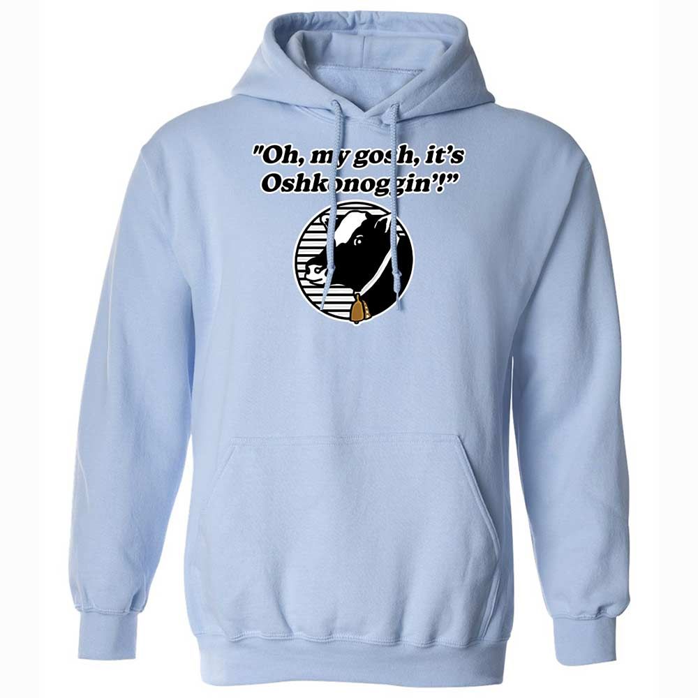 Classic Unisex Hoodie - WYVE1YH3 - Light Blue - 17