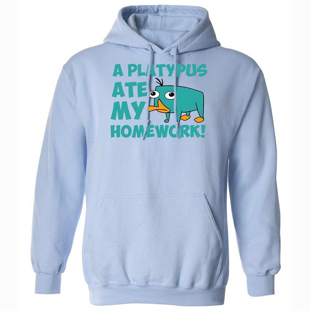 Classic Unisex Hoodie - 6LCQ1Y8Y - Light Blue - 17