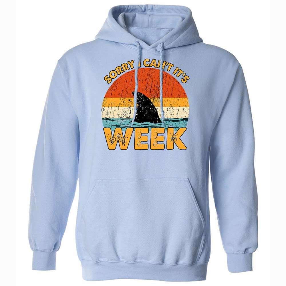 Classic Unisex Hoodie - FBL6STMA - Light Blue - 17