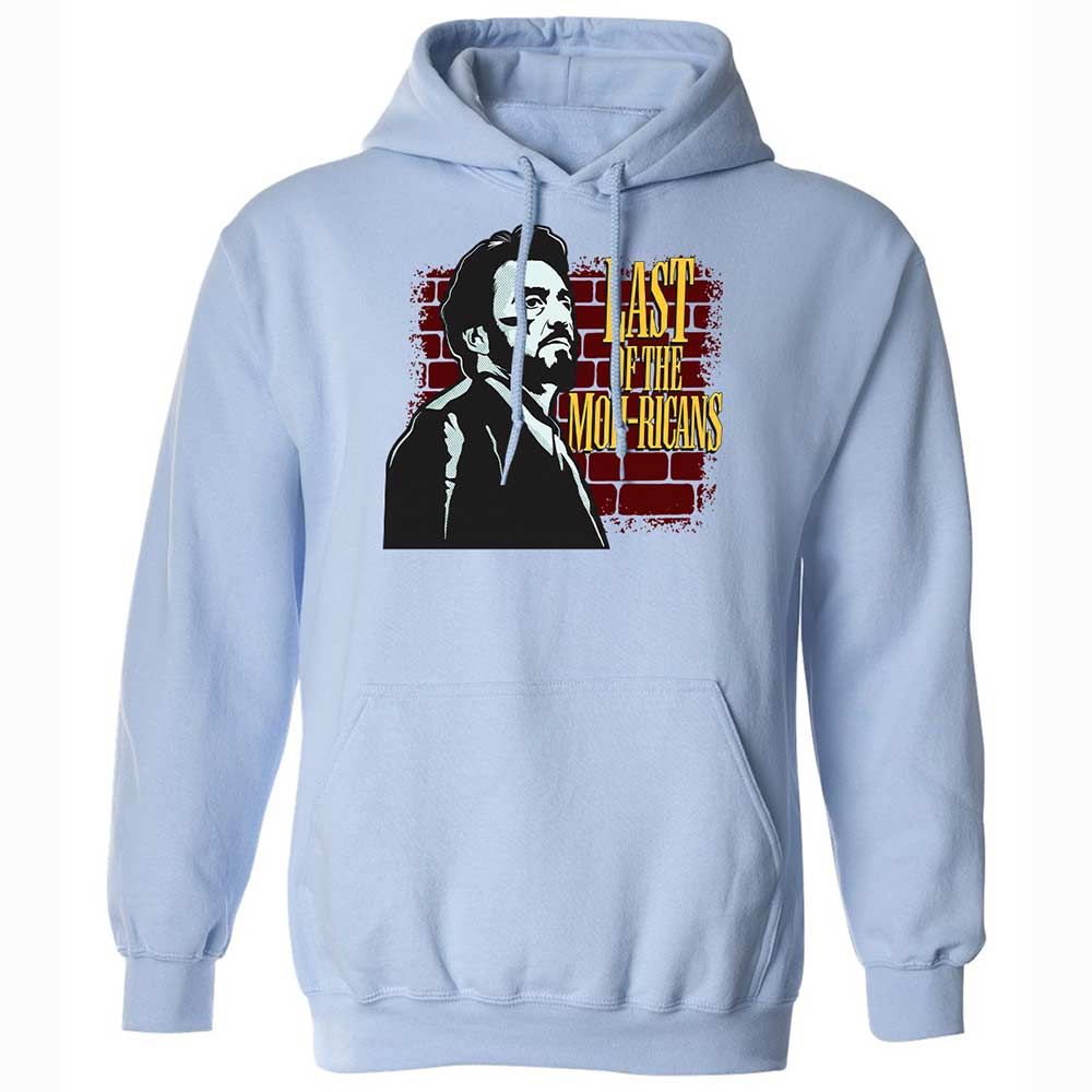 Classic Unisex Hoodie - WAPLKTSM - Light Blue - 17