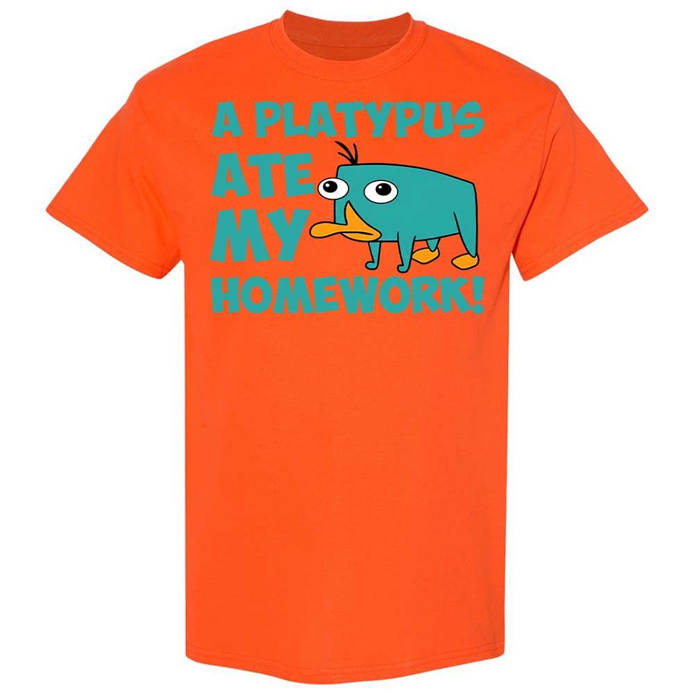 Classic Unisex T-Shirt - NQWJYLTT - Orange - 17
