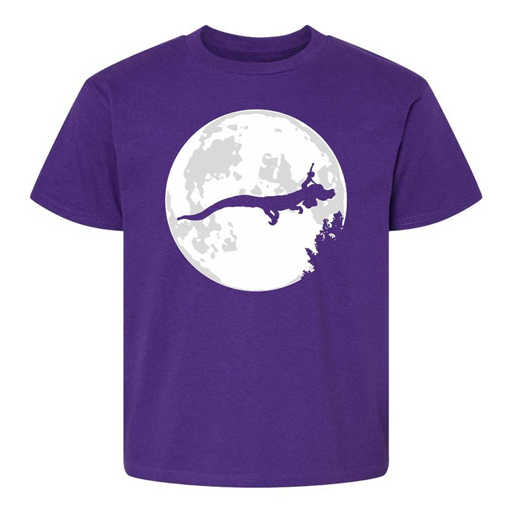 Falkor Moon - Purple - 17