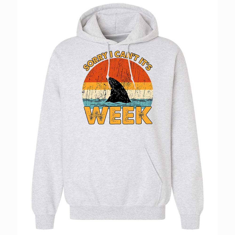 Classic Unisex Hoodie - FBL6STMA - Ash - 18