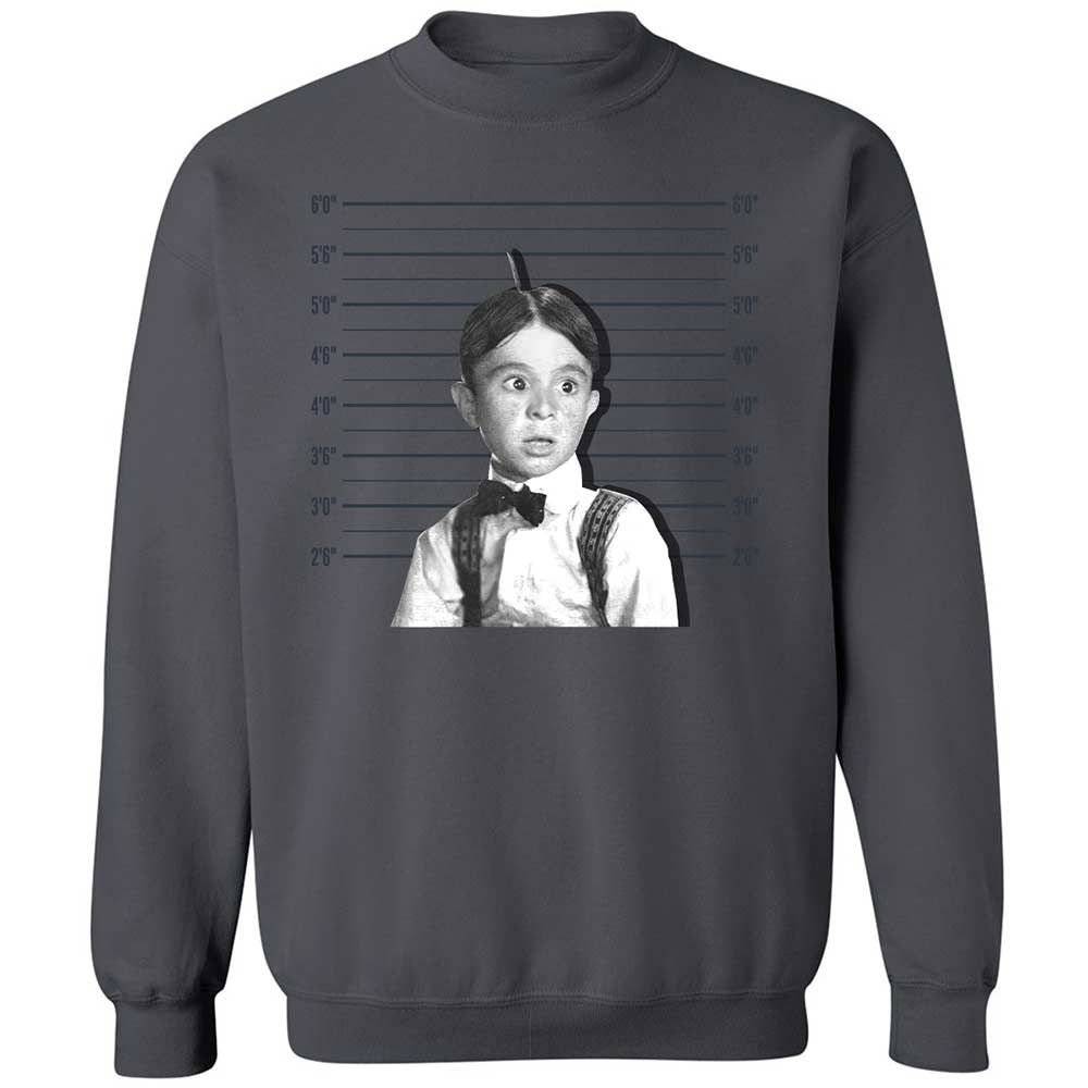 Classic Unisex Sweatshirt - LWSWMXE6 - Charcoal - 18