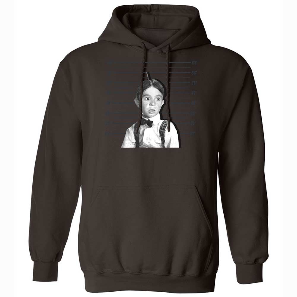 Classic Unisex Hoodie - 541CJLA1 - Dark Chocolate - 18