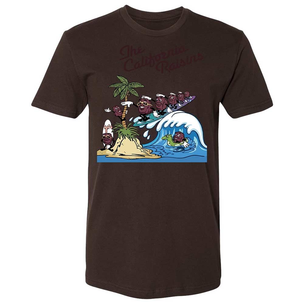 California Raisins - Dark Chocolate - 18