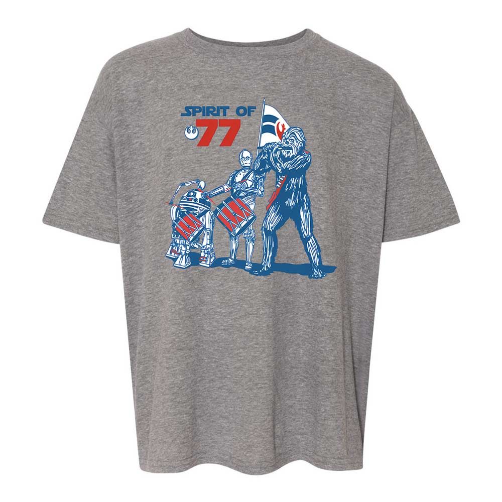Spirit of 77 - Graphite Heather - 18