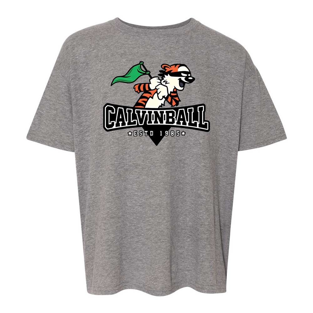 Calvinball - Graphite Heather - 18