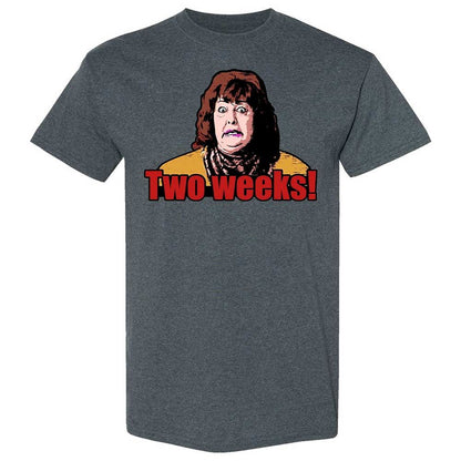 Classic Unisex T-Shirt - Y53TDV8W - Dark Heather - 19