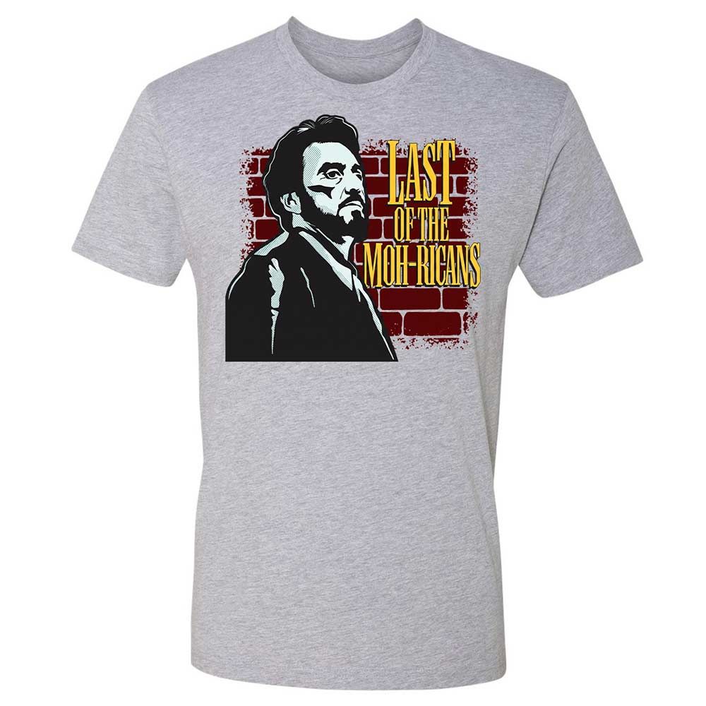 Premium Unisex T-Shirt - PR69X37Y - Heather Grey - 19