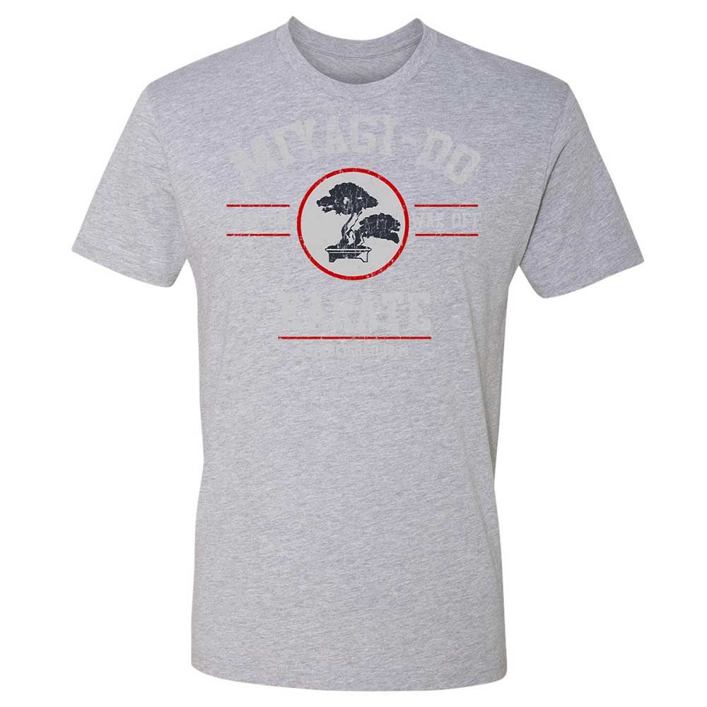 Premium Unisex T-Shirt - THWBZ8LR - Heather Grey - 19