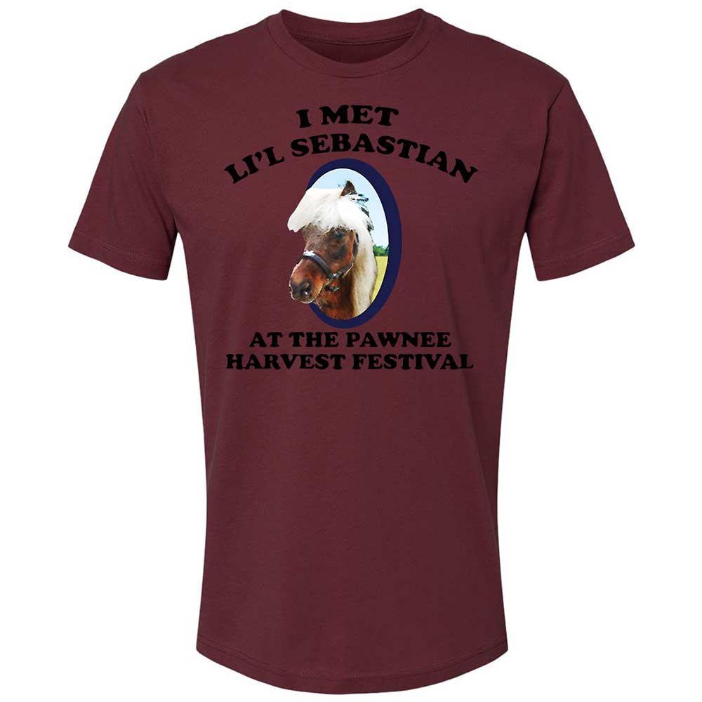 Premium Unisex T-Shirt - UD3E2JSZ - Maroon - 19