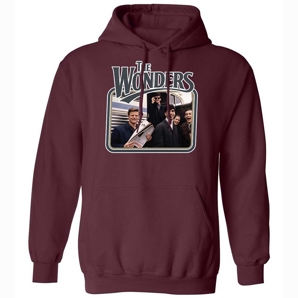 Classic Unisex Hoodie - 1VG6HE8J - Maroon - 19
