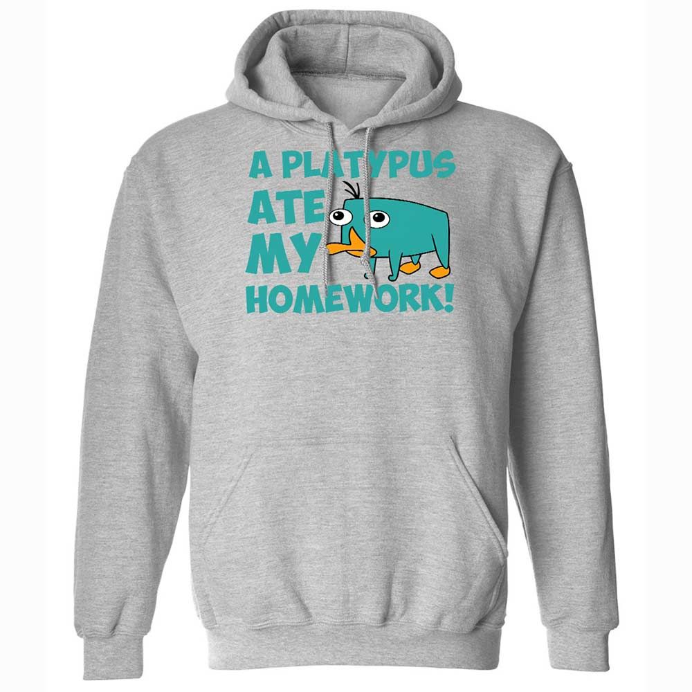 Classic Unisex Hoodie - 6LCQ1Y8Y - Sport Grey - 19