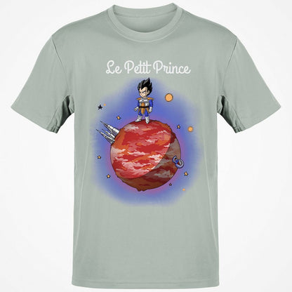 Classic Unisex T-Shirt - GS85DVYB - Ash - 2