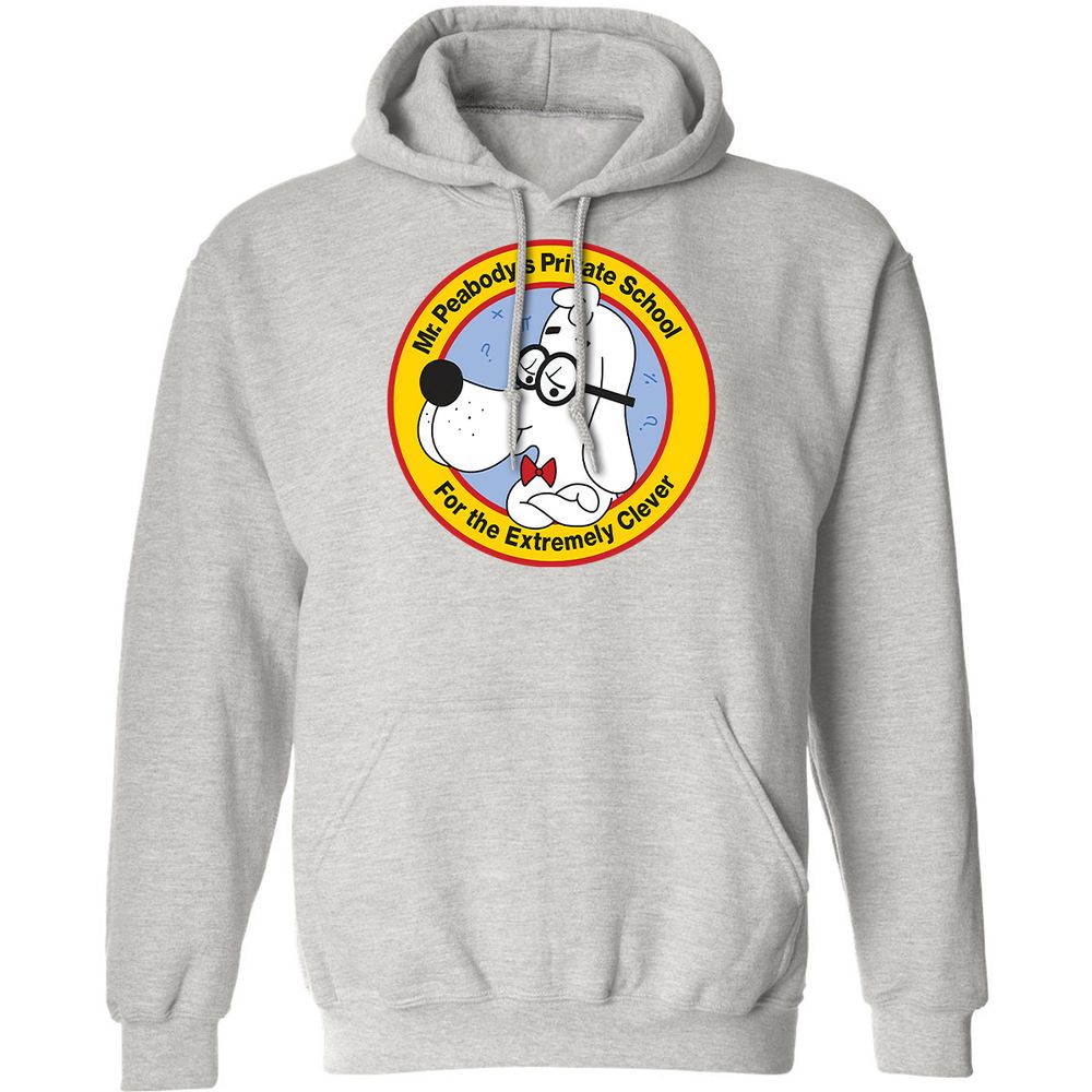 Classic Unisex Hoodie - 5QW4UFMD - Ash - 2