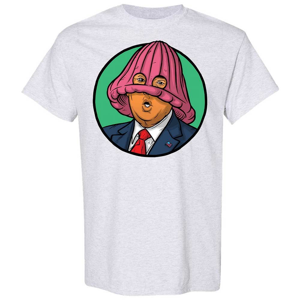 Dumb Donald - Ash - 2