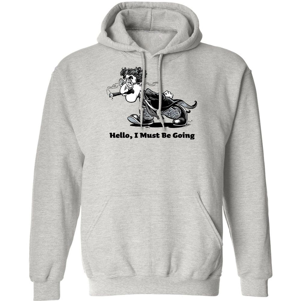 Hello, I Must Be Going - Ash - 2