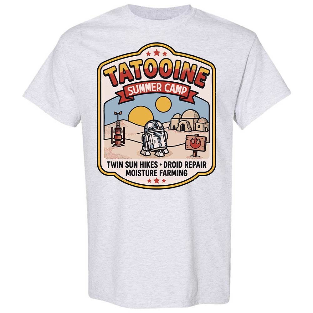 Classic Unisex T-Shirt - JMBYRP1F - Ash - 2
