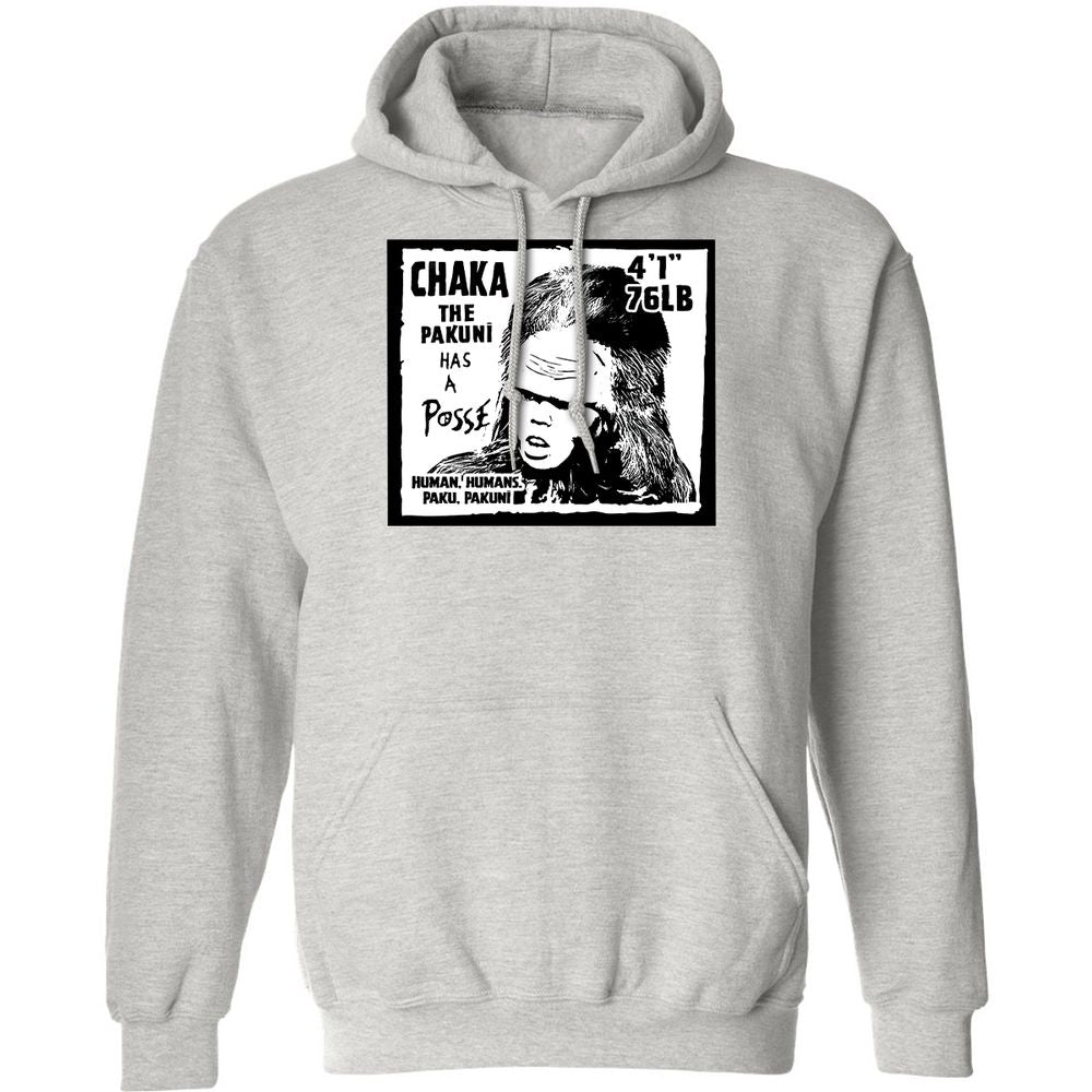 Classic Unisex Hoodie - KA1RXED5 - Ash - 2