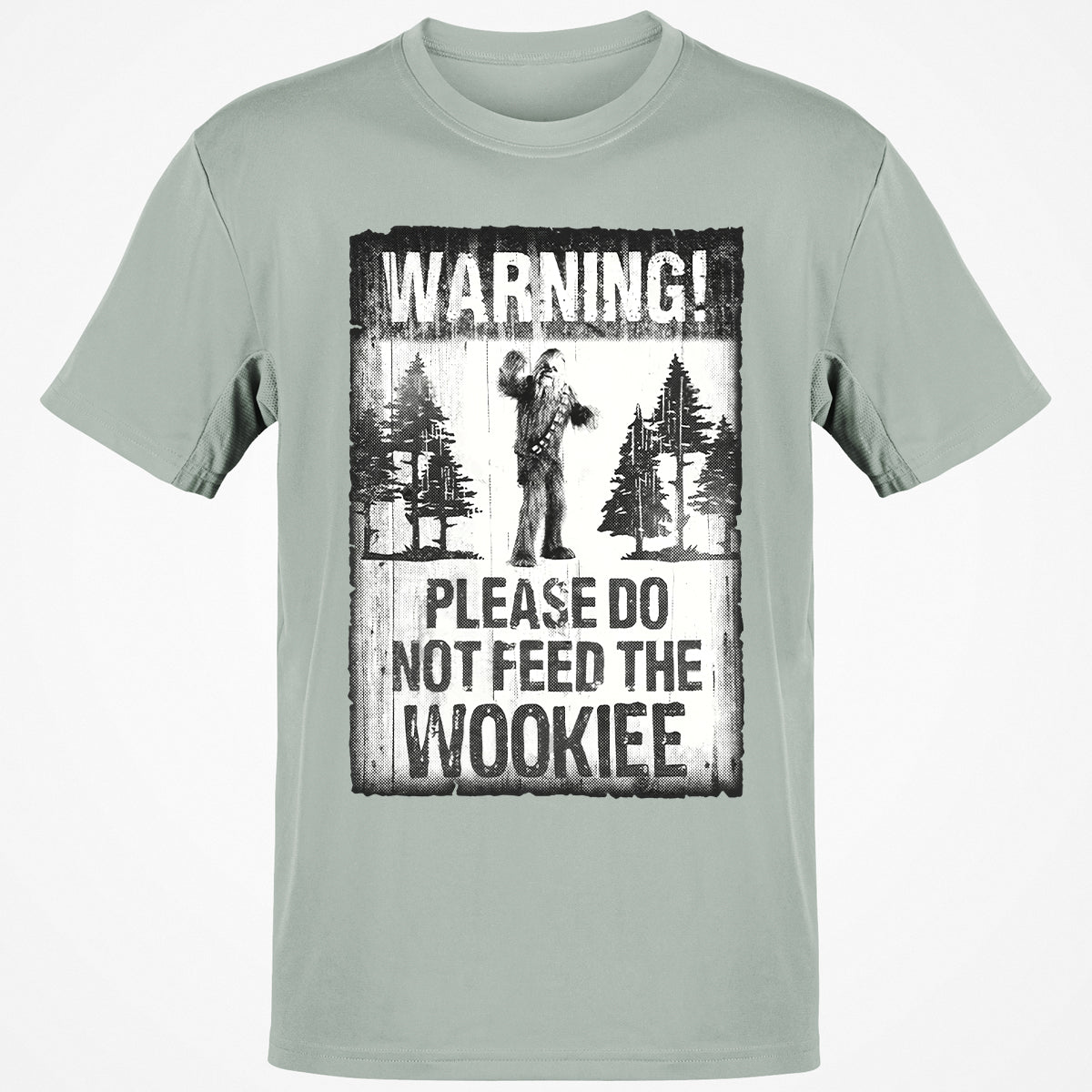 Classic Unisex T-Shirt - 59TQ7YP7 - Ash - 2