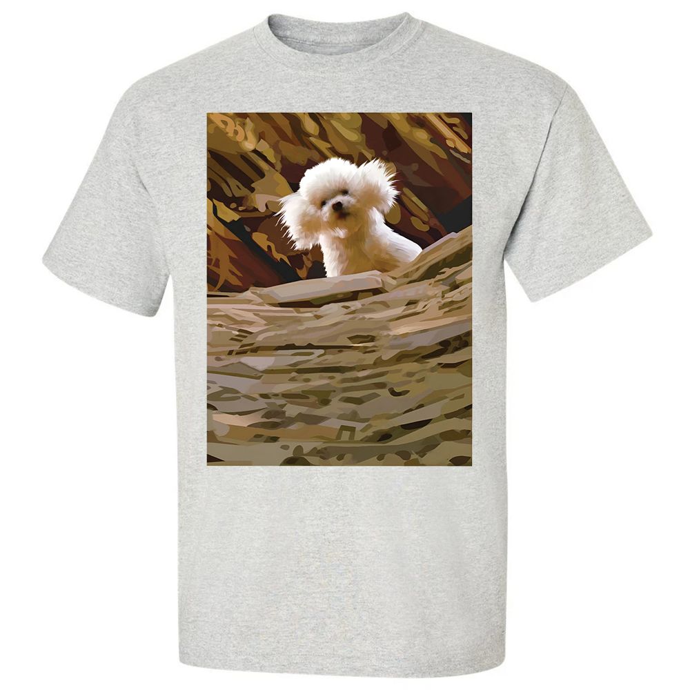 Precious Bichon - Ash - 2