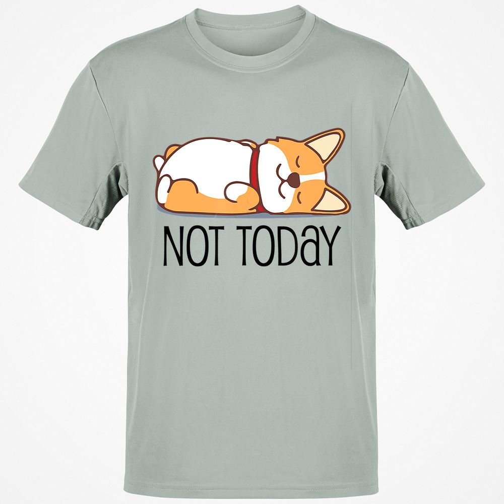 Classic Unisex T-Shirt - BMPYSMPW - Ash - 2