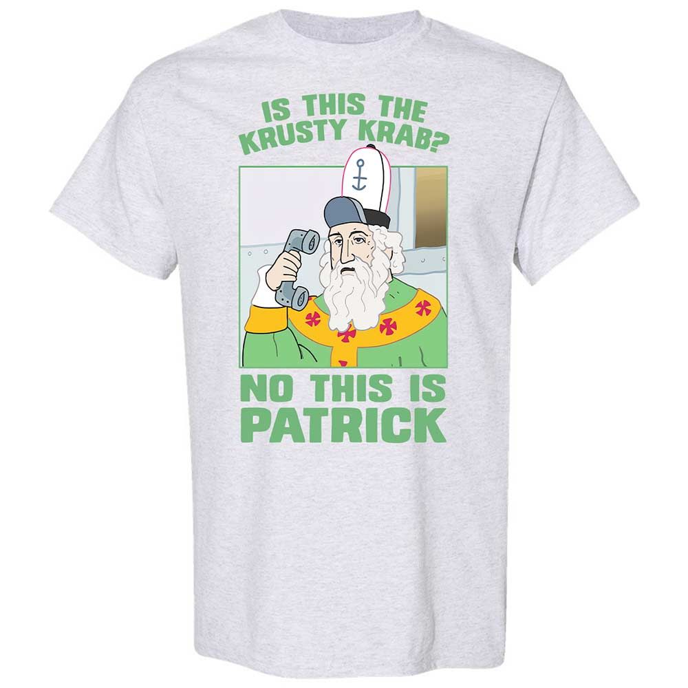 Classic Unisex T-Shirt - T95CC1TB - Ash - 2