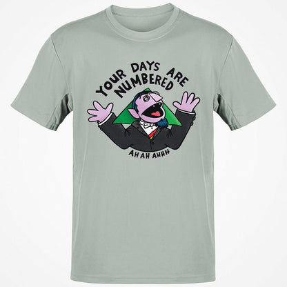 Classic Unisex T-Shirt - 8YTHZM8X - Ash - 2